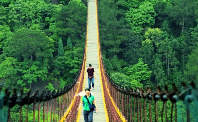 Blog image5 1 650x400