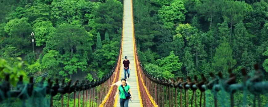 Blog image5 1 870x350